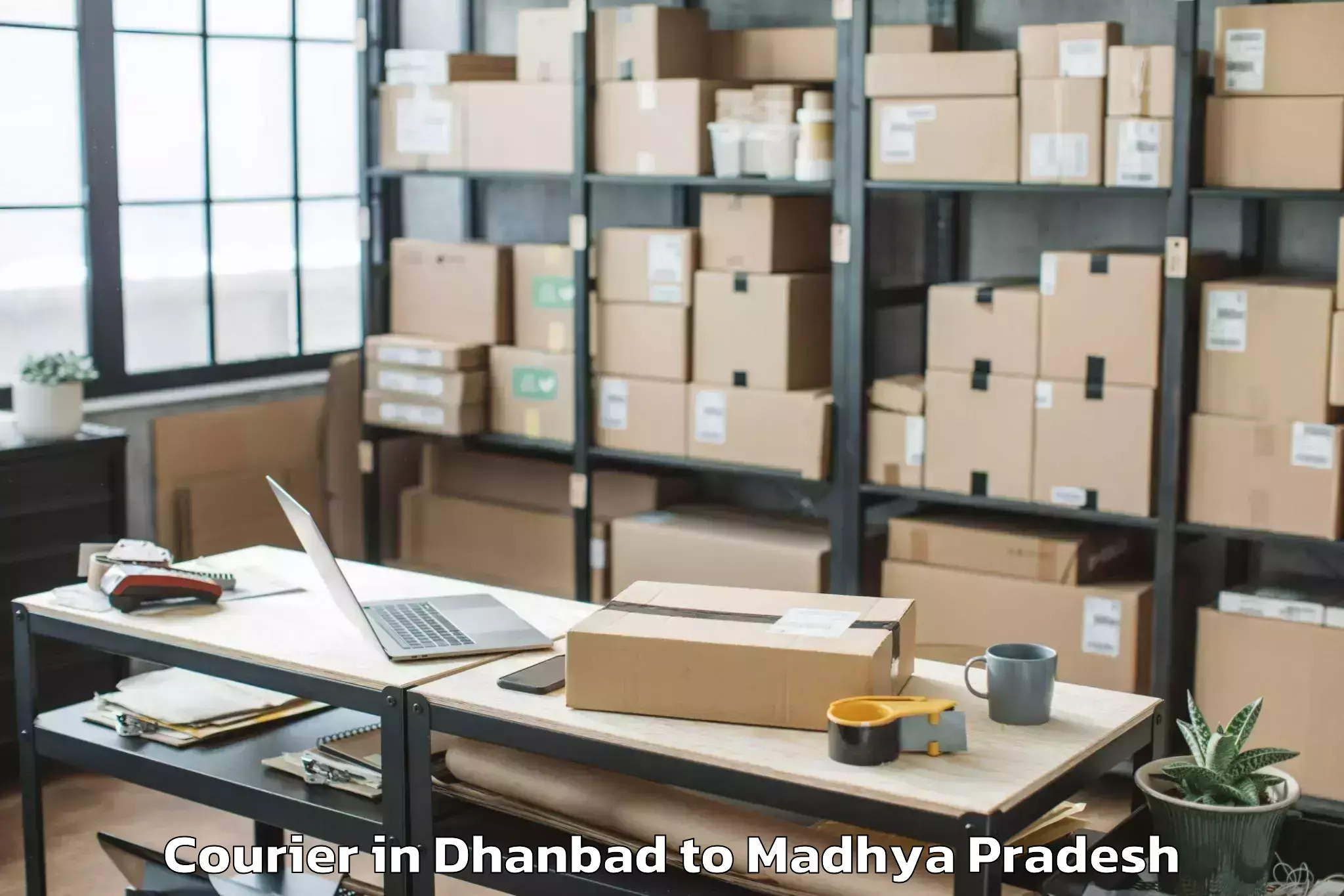 Top Dhanbad to Sanwer Courier Available